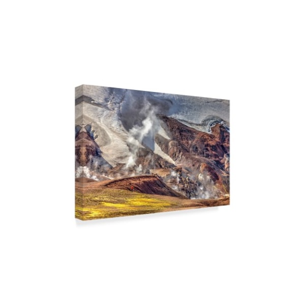 Maciej Duczynski 'Iceland Landscape 25' Canvas Art,12x19